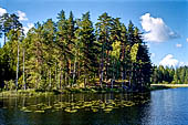 Punkaharju, Savonlinna. La zona nei pressi di Lusto, il museo della foresta finlandese. 